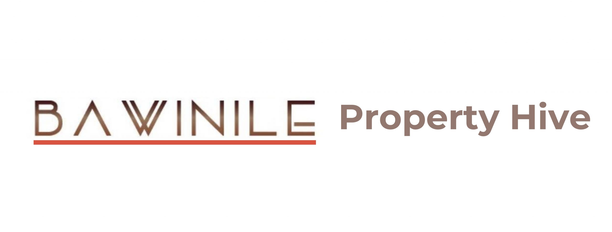 Bawinile Property Hive